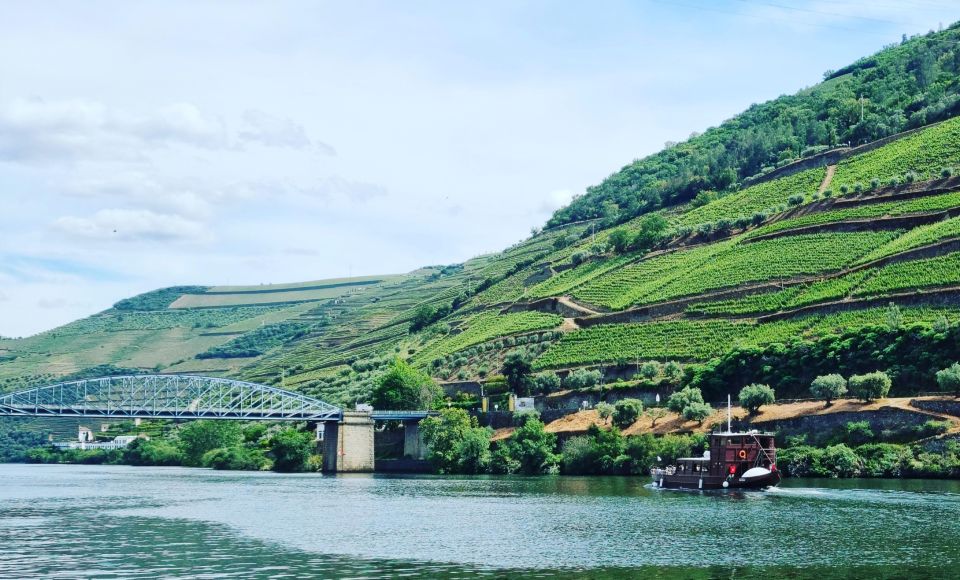 Porto: Private Douro Valley & Wine Tour With Lunch & Cruise - Relaxing on a Douro River Cruise