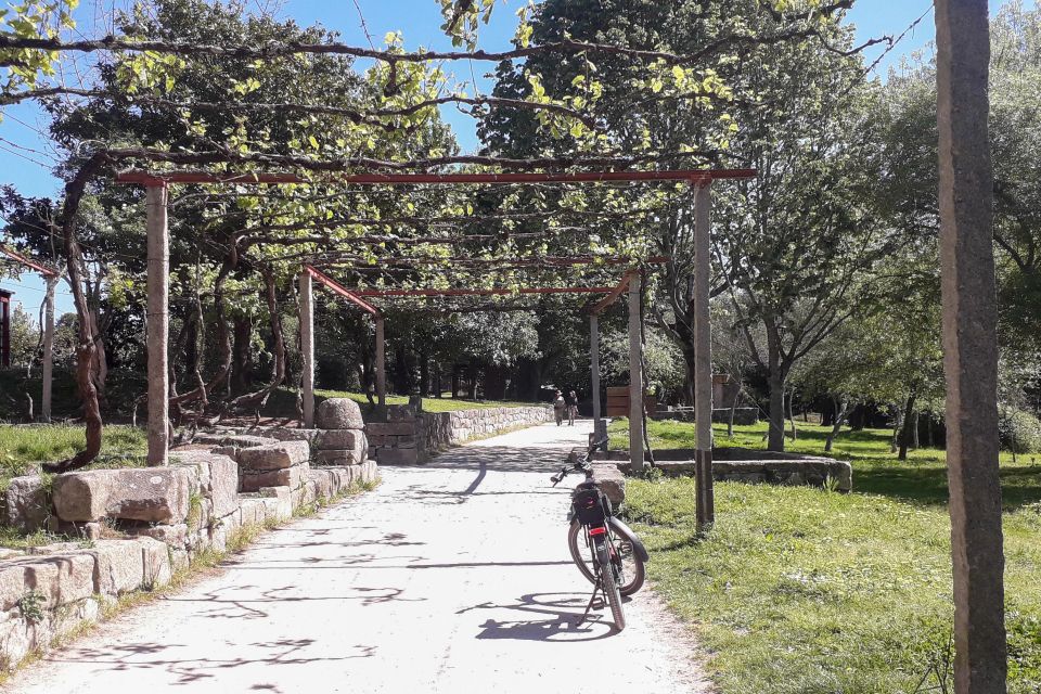 Porto Riverbank Tour on an E-Bike: Atlantic Coast, Gardens - Customer Feedback