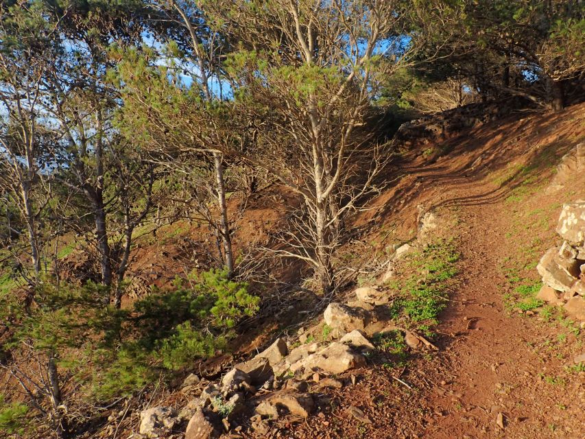 Porto Santo - Pico Do Facho Hiking Tour - Important Considerations