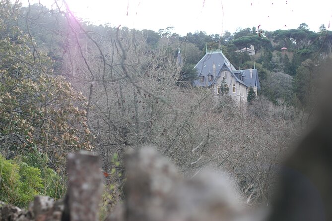 Private 1 Hour Sintra Guided Tour - Additional Tour Information