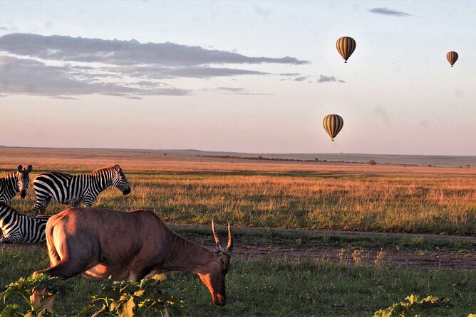 Private 4-Days Northern Circuit National Parks in Tanzania - Confirmation and Accessibility