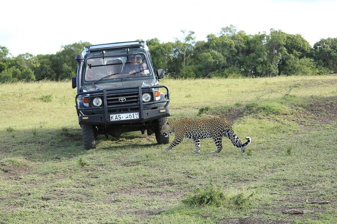 Private 7 Days Kenya Safari Tour With Jeep - Booking and Cancellation