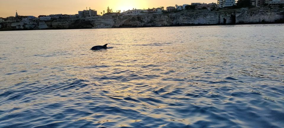 Private Boat Tour of the Island of Ortigia With Lunch - Frequently Asked Questions