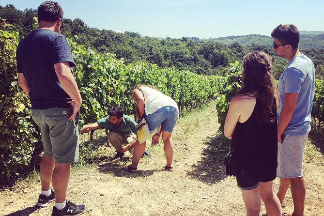 Private Chianti Wine Tour - Countryside Views