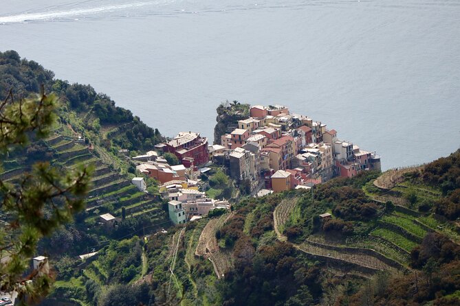 Private Cinque Terre Trek & Tour - Discovering Groppo and Manarola