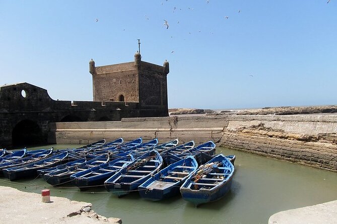 Private Essaouira Day Trip From Agadir - Berber Village Experience