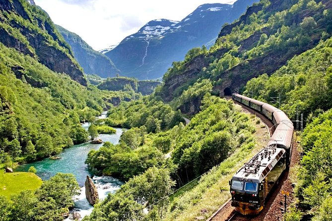 Private Full-Day Round Trip From Oslo to Sognefjord via Flåm Railway - Inclusions and Exclusions