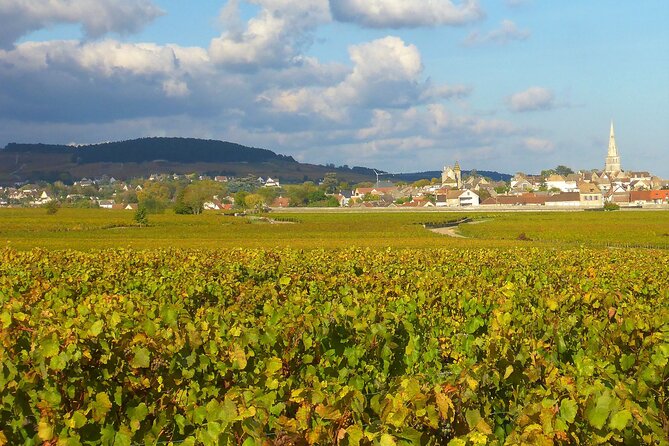 Private Guided Sidecar Tour in Burgundy From Meursault - Exploring Burgundy Countryside