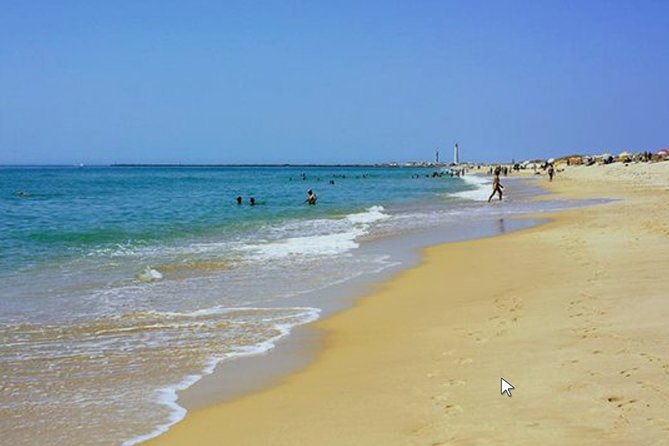 Private Half-Day Boat Tour in Ria Formosa From Faro - Accompanying Children