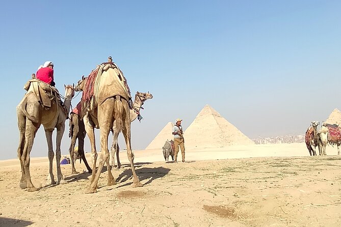 Private Half Day Pyramid Tour in Cairo - Booking Information