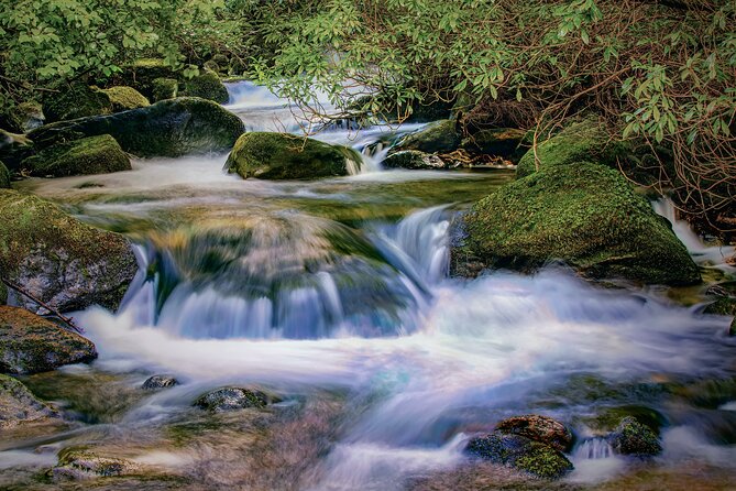 Private Luxury Full-Day Ring of Kerry Tour From Killarney - Pickup and Meeting Point