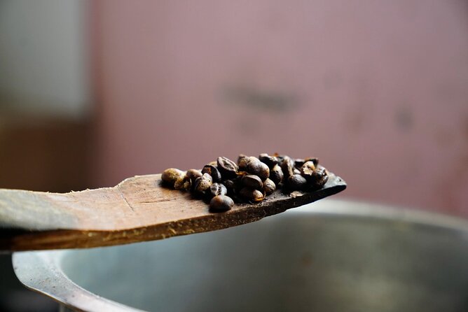 Private Meru Coffee Tour in Nkoaranga - Snacks, Beverages, and Lunch