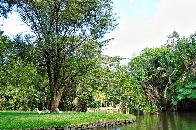 Private North Day Tour: Botanical Garden, Sugar Museum, Rum Tasting, Port Louis - Sugar Industry and Slave Trade