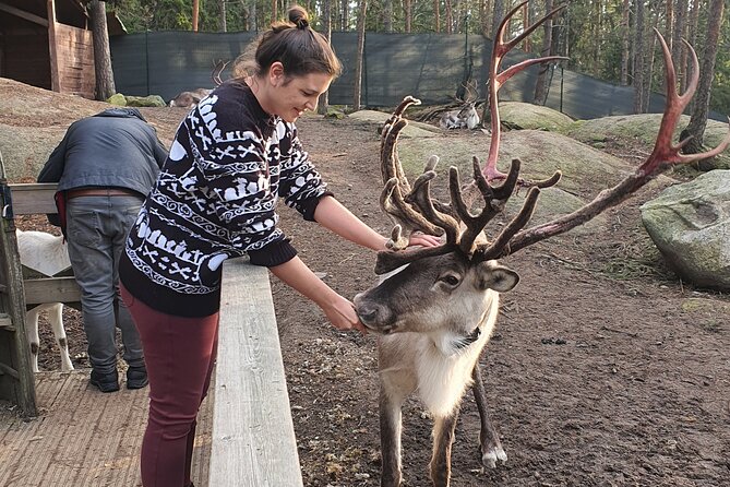 PRIVATE Reindeer Park Adventure by VIP Car - Visiting Nuuksio National Park