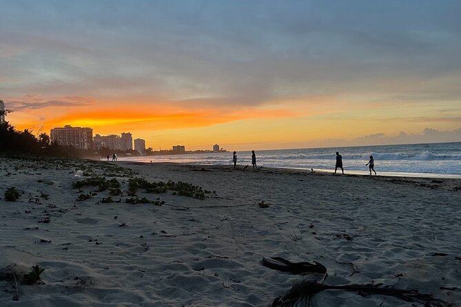 Private Romantic Beach Picnic at Sunset With Photos - Cherishing Memories