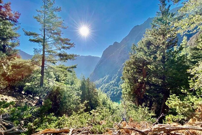 Private Roundtrip Transfer From Chania to Samaria Gorge Park - Private Roundtrip Transfer