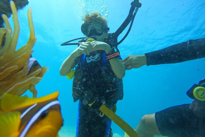 Private Scuba Diving Tour With Transportation and Guide - Cancellation and Booking Policy