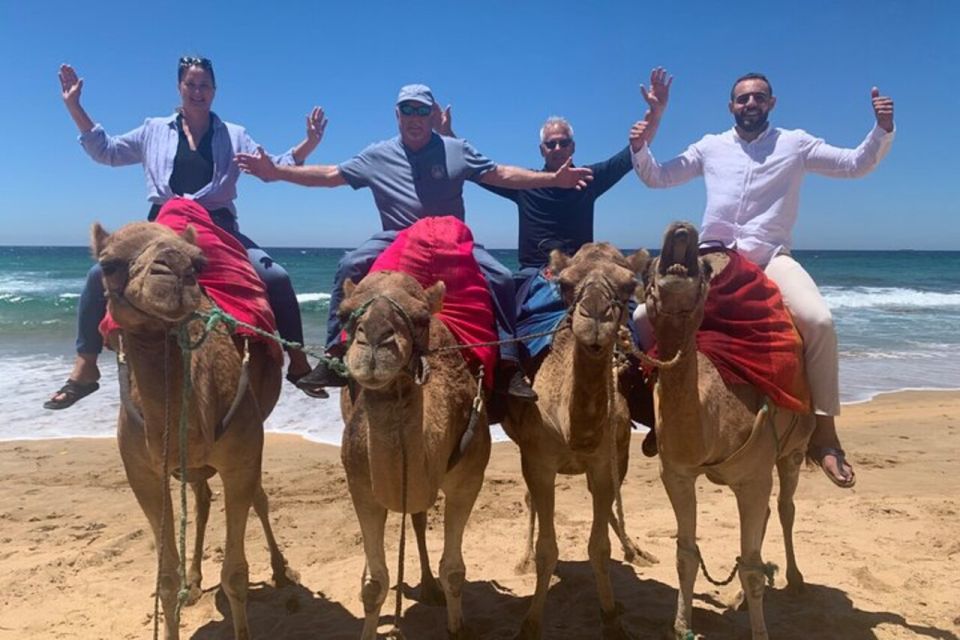 Private Tangier Tour From Malaga Including Camel & Lunch - Pickup and Drop-off