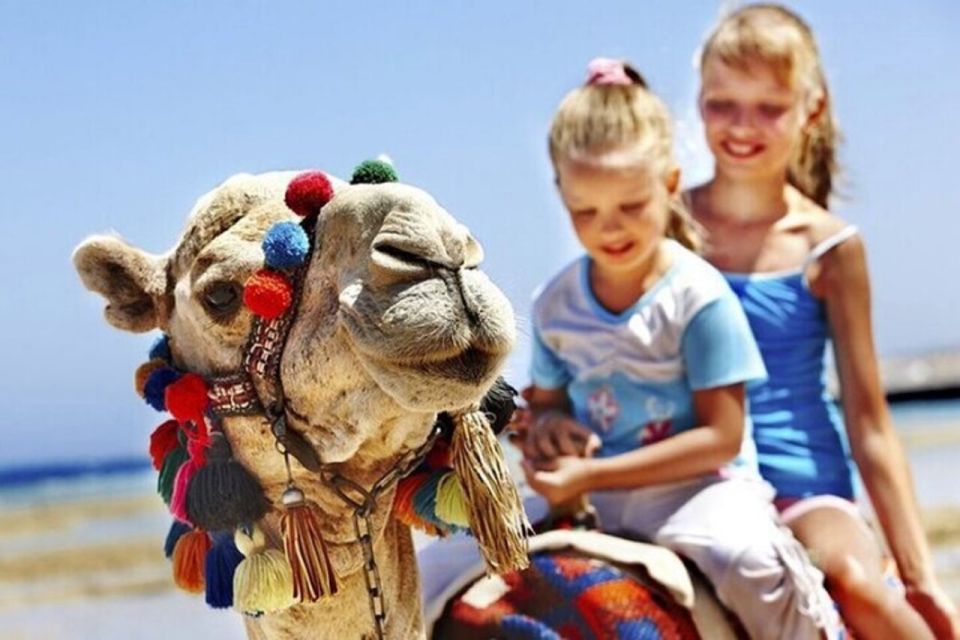 Private Tangier Tour From Marbella Including Camel & Lunch - Pricing