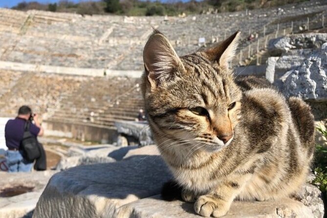 Private Tour : Biblical Ephesus Tour for Cruisers From Kusadasi ( Ephesus ) Port - Professional Local Tour Guides