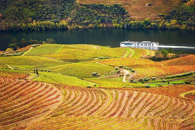 Private Tour in Douro - Visiting Quintas