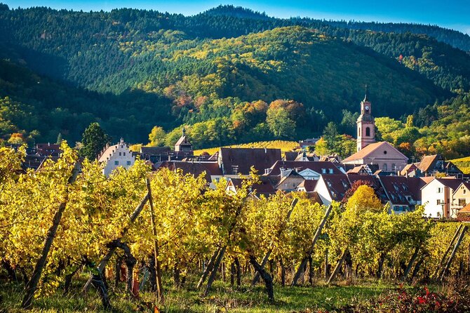 Private Tour: Picturesque Alsatian Villages & Wine Tasting With a Local Expert - Alsatian Villages