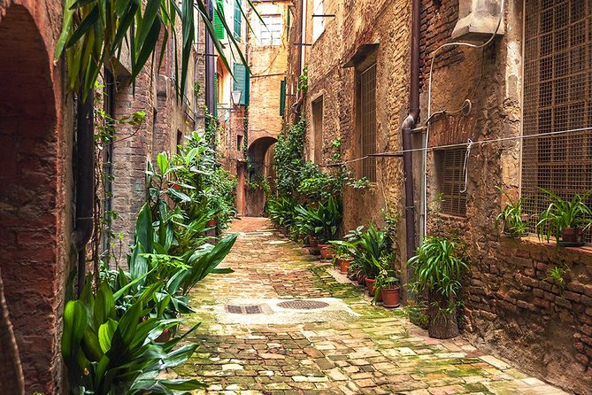 Private Tour: Secret Siena Walking Tour - Architectural Highlights