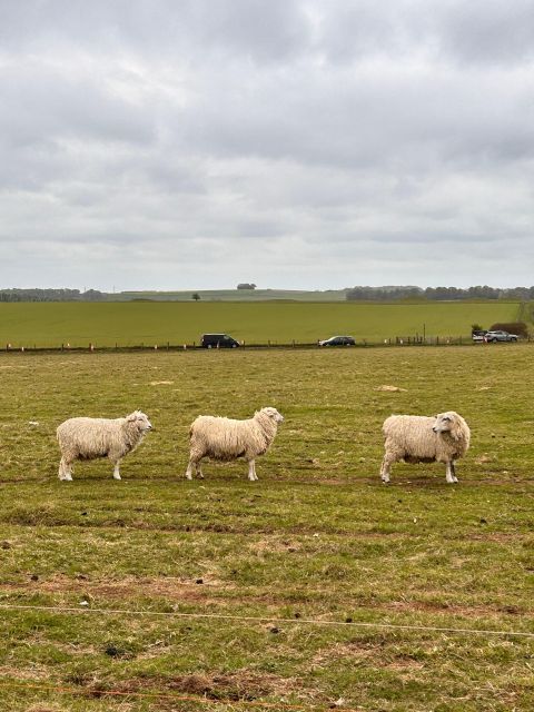 Private Tour to Stonehenge, Bath and The Cotswolds - Pickup and Drop-off Locations