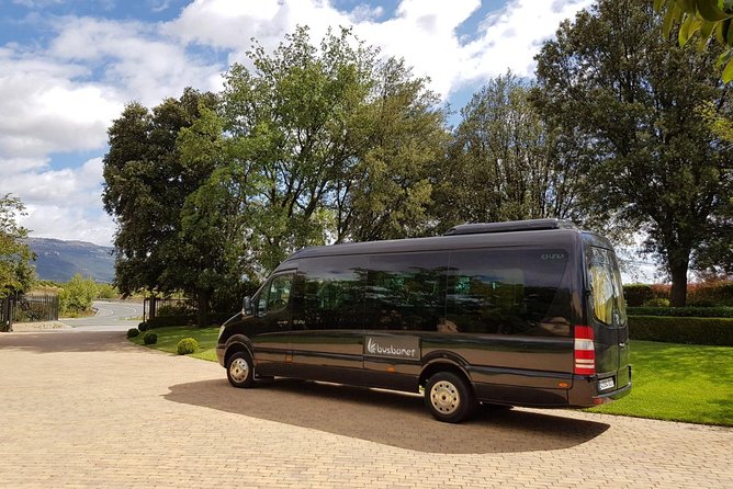 Private Transfer Madrid Barajas Airport to Madrid in Vans up to 7 Passengers - Transportation Options