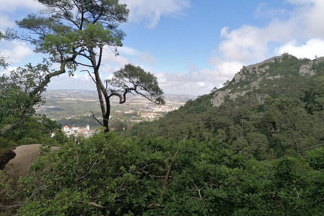 Private Tuk Tuk Tour Through Serra De Sintra - Highlights of the Tour