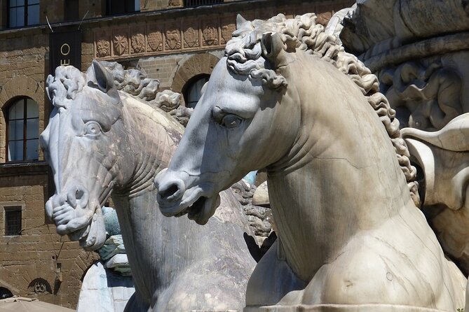 PRIVATE Walking Tour Around Medici Family - Exploring the Medici Legacy