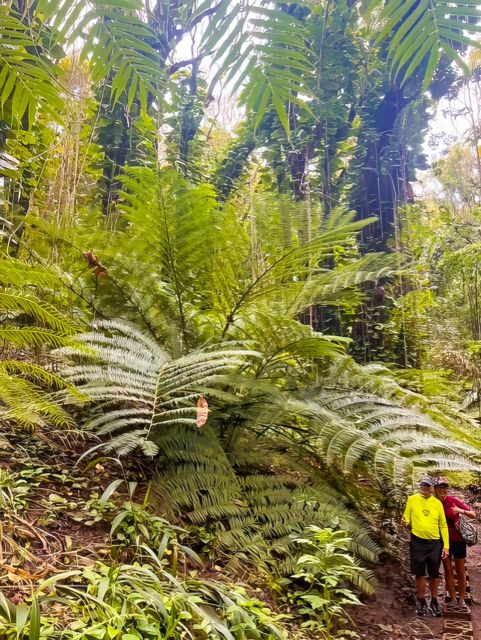 Private Waterfall, Rainforest & Handcrafted Chocolate Tour - Charitable Aspect