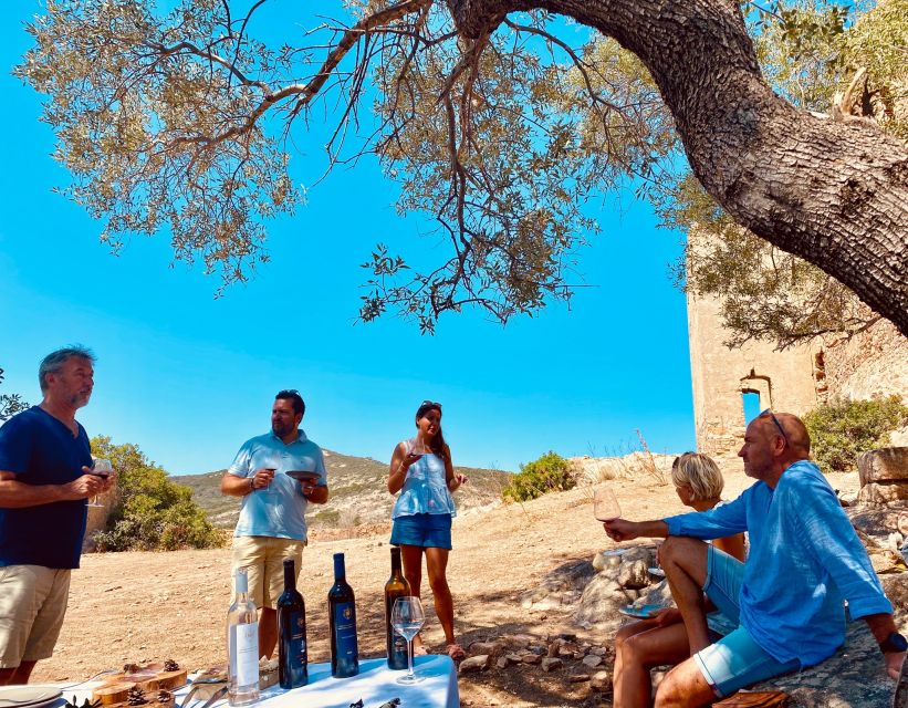 Private Wine Tastings Around Vineyards - Exploring Corsican Vineyards