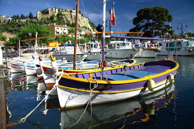 Provence Full Day Private Tour With Professional Guide From Marseille - Scenic Views and Medieval Villages