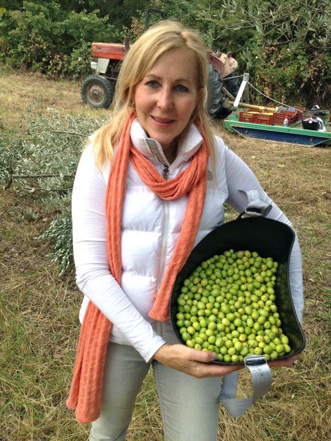 Provence Olive Harvest - Included Drinks and Lunch