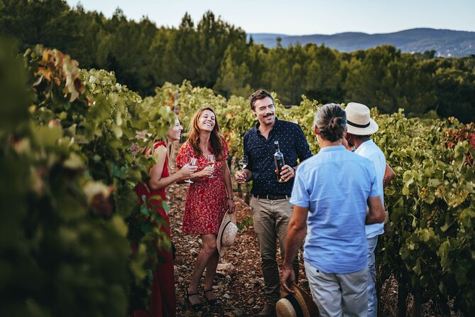 Provence Wine Tour - Small Group Tour From Nice - Expert Wine Guide