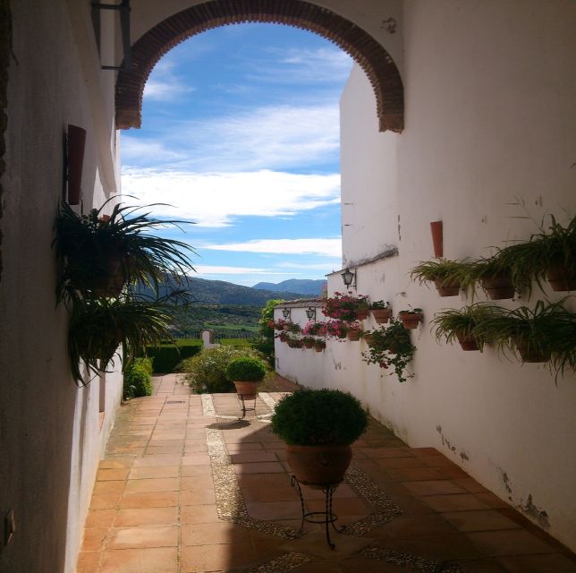 Pueblos Blancos & Ronda: Private Full-Day Tour From Seville - Visiting the Historic Town of Ronda