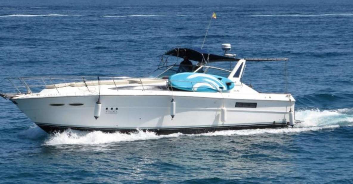 PUERTO BANUS: YACHT RENTAL FOR GROUP 2H - Dolphin Spotting Opportunity