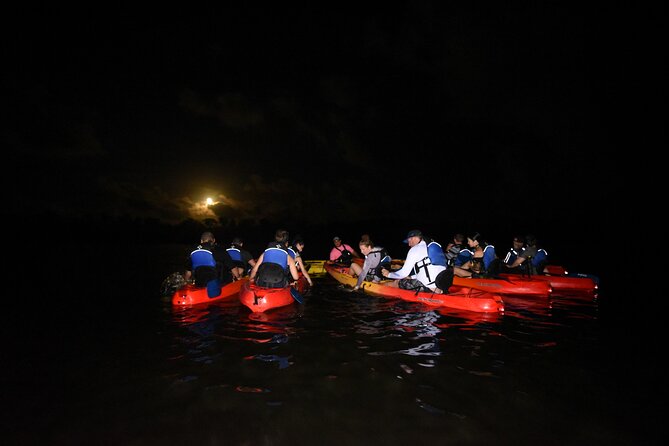 Puerto Rico Sunset Magic: Bio Bay Kayaking Tour From Fajardo - Safety Gear and Equipment