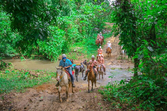 Punta Cana Zipline Adventure Plus Buggies and Horse Back Riding - Group Size and Capacity