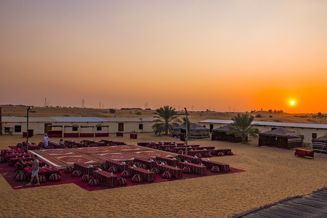 Quad Bike, Camel Caravan & VIP Dinner With Oriental Show - Falconry Encounter