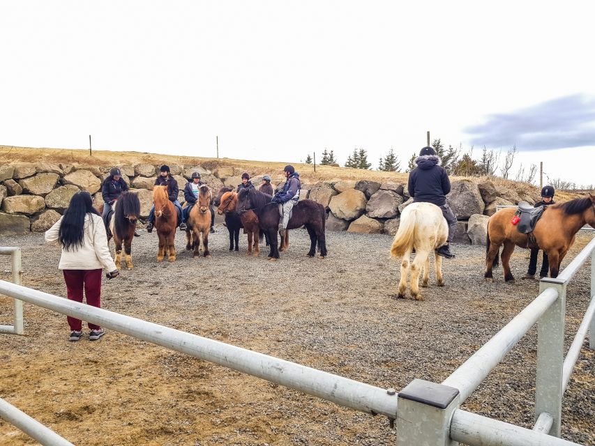 Reykjavik: Red Lava Horse Riding Tour - Booking and Cancellation