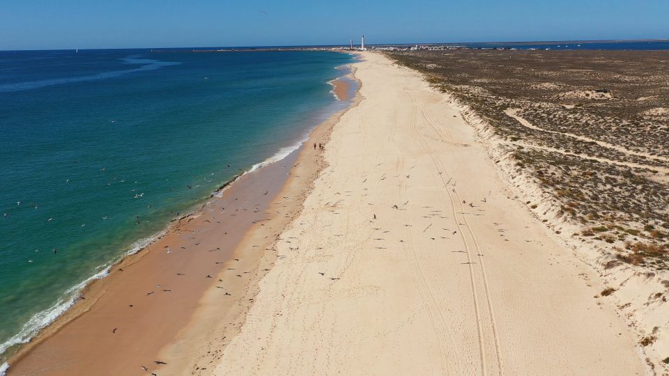 Ria Formosa: Armona and Culatra Islands Boat Tour - Enjoying the Regions Natural Beauty