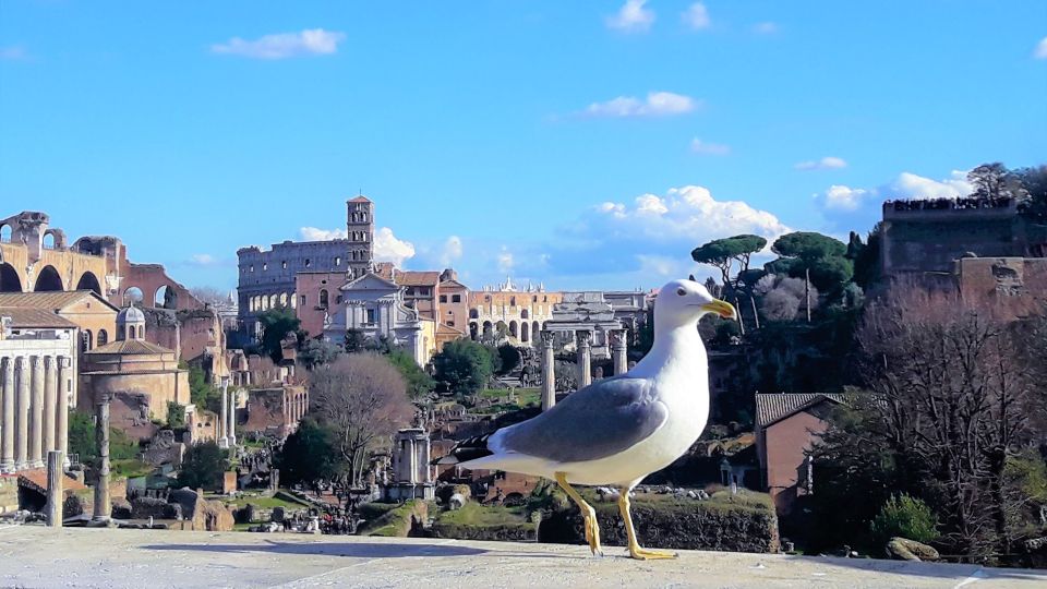 Rome: Vatican, & Colosseum Tours W/Lunch Tkts and Transfers - Colosseum Guided Tour