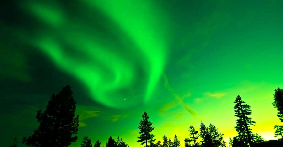 Rovaniemi: Guided Northern Lights Tour - Winter Clothing Provided