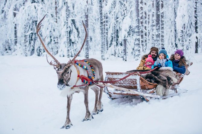 Rovaniemi Santa Claus Village Husky Reindeer Farm Arctic Museum - Visiting Santa Claus Village