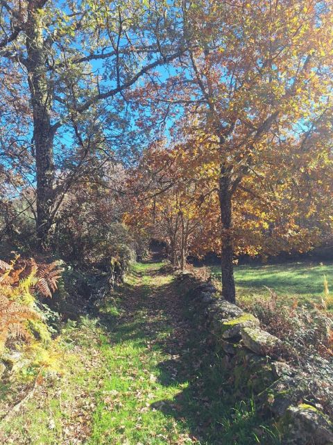 Sabugal Walking Tour: Stories and Charms of the Côa River - Accessibility and Restrictions