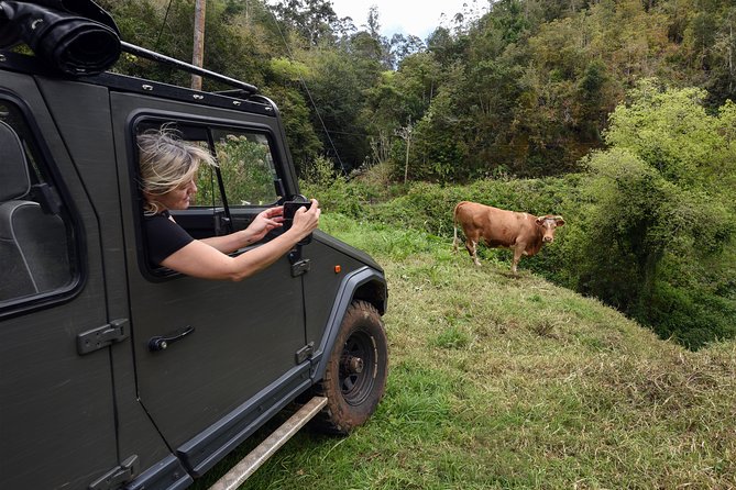 Safari 4x4 to Pico Arieiro and Santana in a Small Group With Flowereast - Explore Wild Madeira