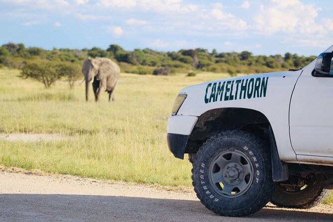 Safari in Etosha National Park With Professional Tour Guides Born in Etosha. - Professional Tour Guides