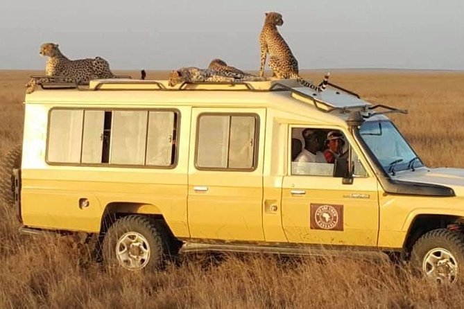 Safari in Tanzania 5 Days: Manyara, Ngorongoro, Serengeti - Cancellation and Pricing